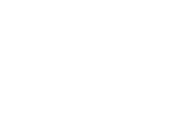 LonePine-Logo-Light.png